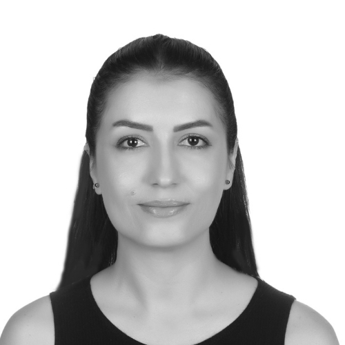 Sebnem Demiriz